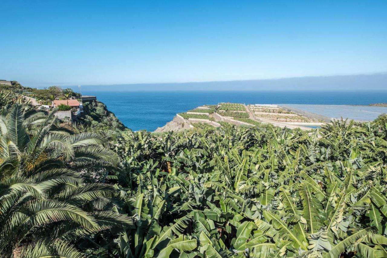 Finca Alejandrina La Guancha Kültér fotó